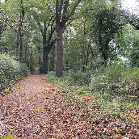 Ferienwohnungen, Malchow (Mecklenburg-Vorpommern)